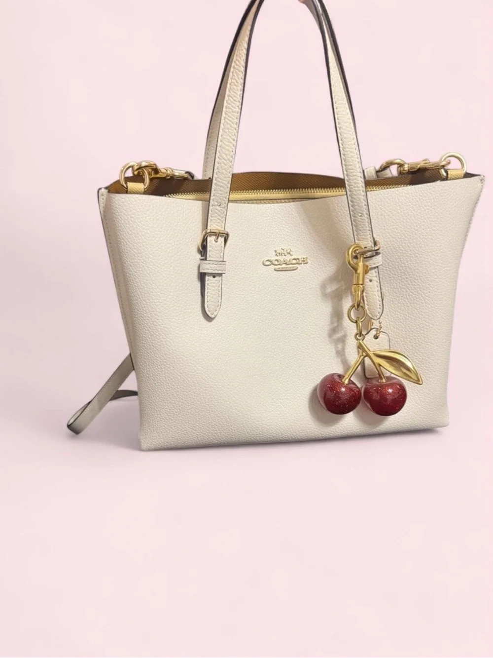 Coach Mollie Tote Bag 25